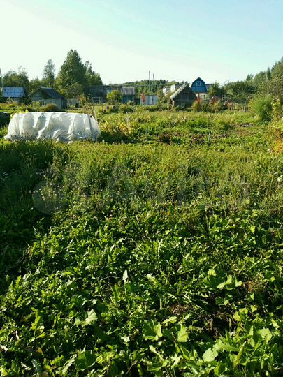 Участок 4,7 сот. (СНТ, ДНП)