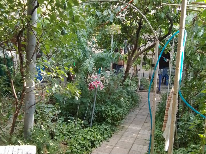 Комната 20 м² в 4-к., 2/2 эт.