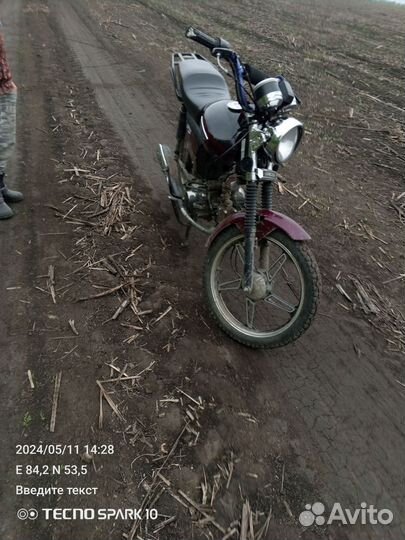 Альфа GS 110