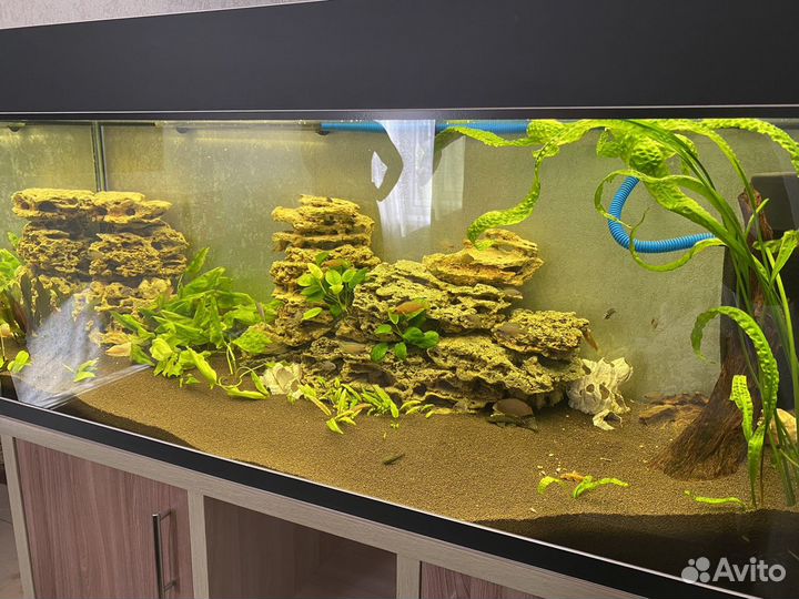 Аквариум