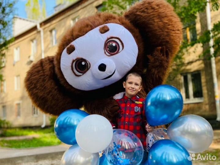 Зайка/Мишка /чебурашка /поздравление/белый мишка