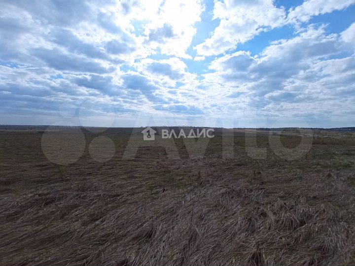 Участок 45 га (СНТ, ДНП)