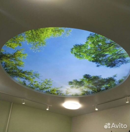 Натяжные потолки, ремонт потолков, слив воды