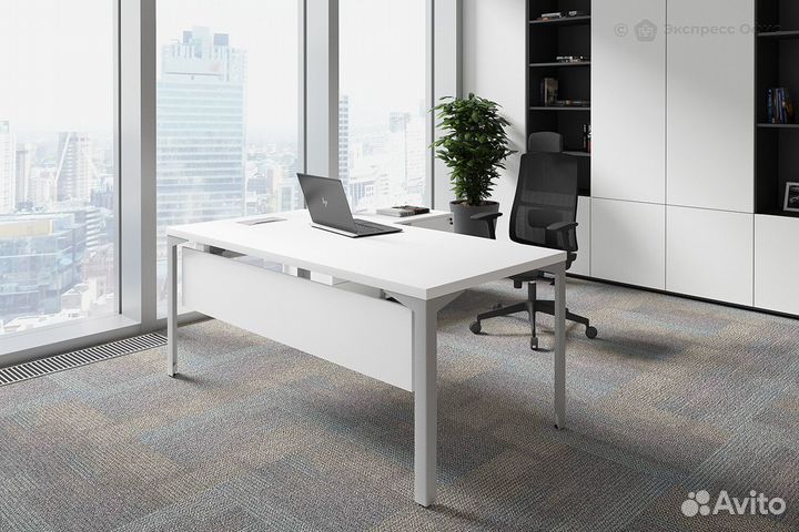 Кабинет руководителя Ray EX