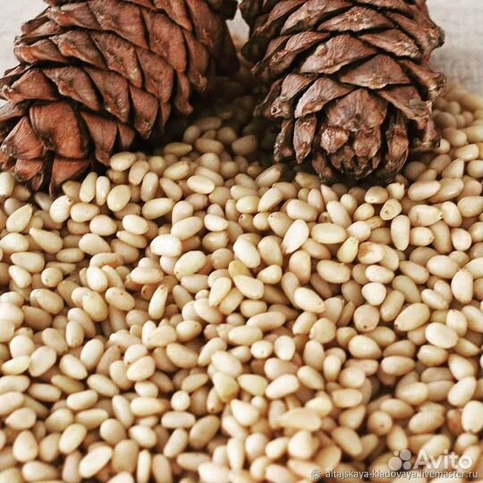 Ядро кедрового ореха
