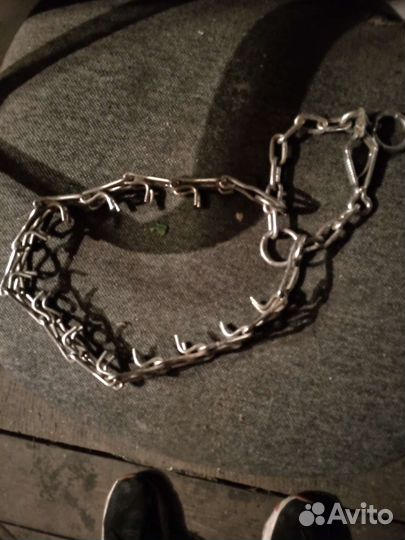 Строгий ошейник для собак