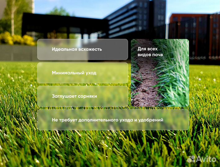 Газонная смесь Карликовая