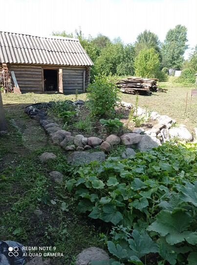 Участок 52 сот. (СНТ, ДНП)