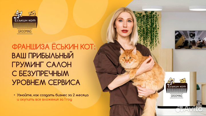 Франшиза груминг салона и Zоо точка Ёськин Кот