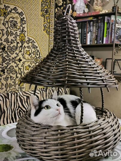 Кормушка для птиц уличная