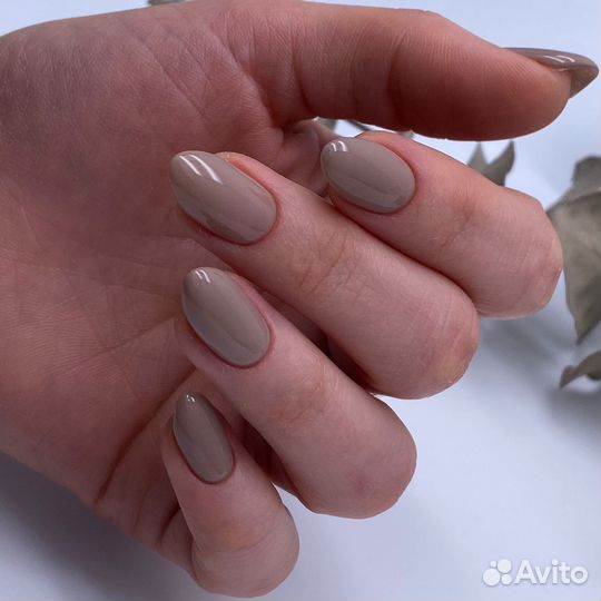 Требуются модели бесплатно