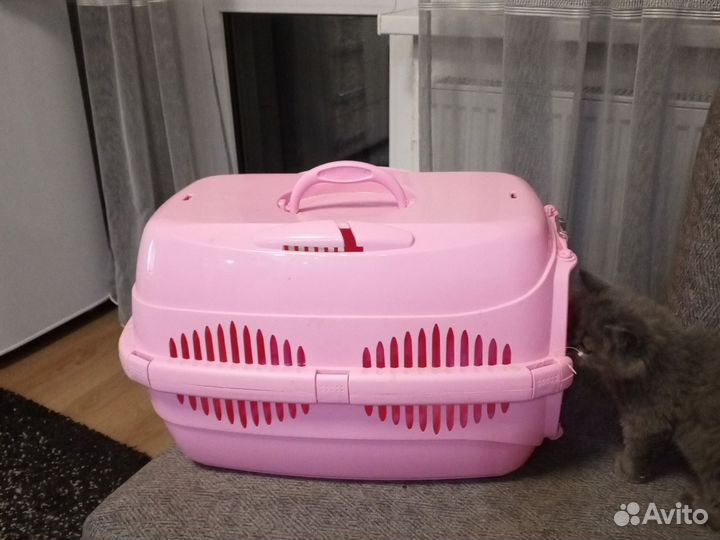 Переноска для кошек пластиковая