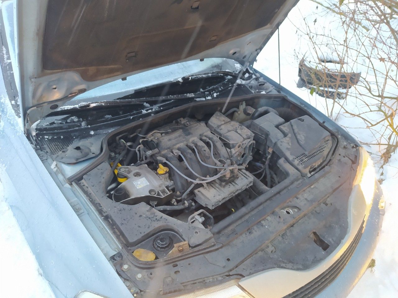 Renault Laguna: фото владельца