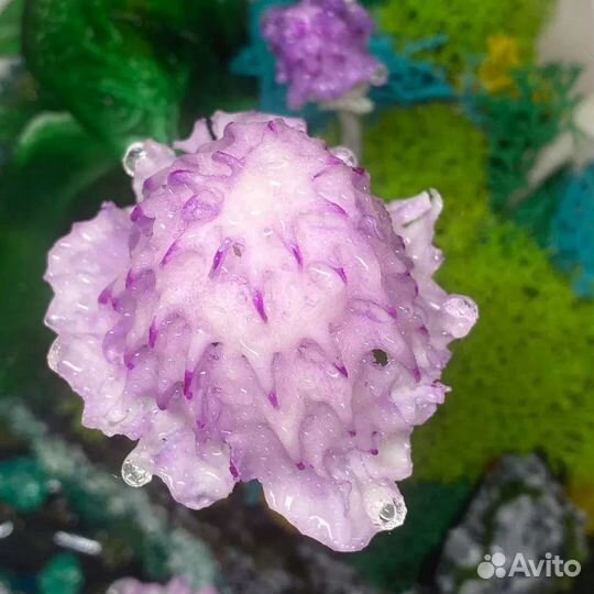 Светильник