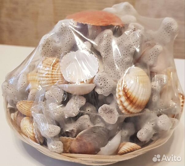 Морские ракушки и кораллы