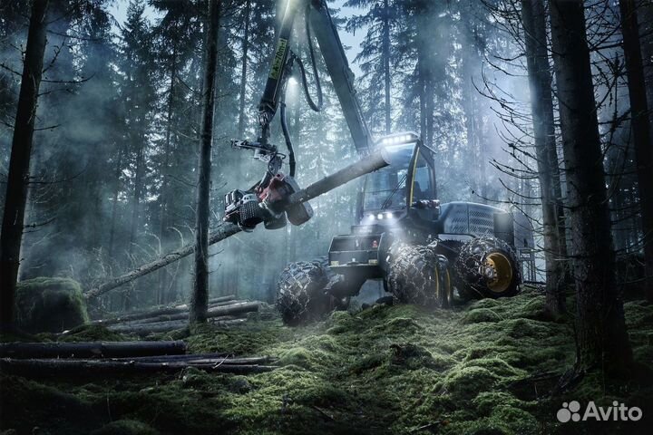 Услуги лесозаготовки