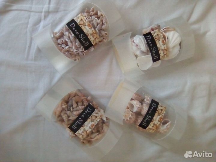 Ракушки декоративные