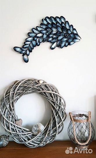 Морские ракушки раковины мидии