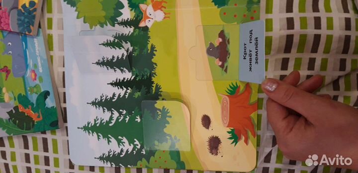 Книги с клапанами