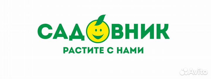 Директор магазина Администратор
