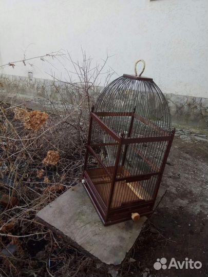 Клетка для попугая бу