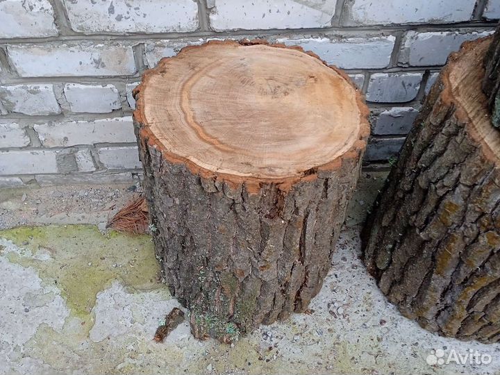 Спилы и пеньки