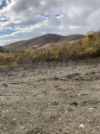 Участок 10,9 сот. (ИЖС)