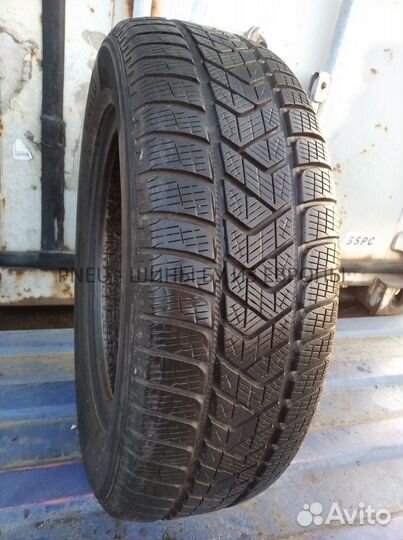 Pirelli Scorpion Winter 215/65 R17 116U