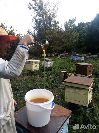 Продам мед