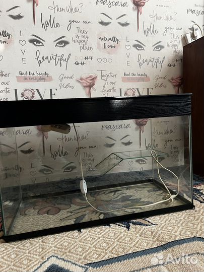 Аквариум террариум