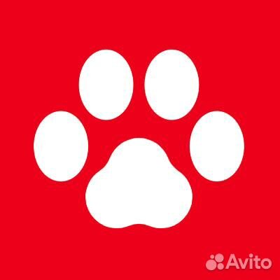 Продавец-консультант в зоомагазин