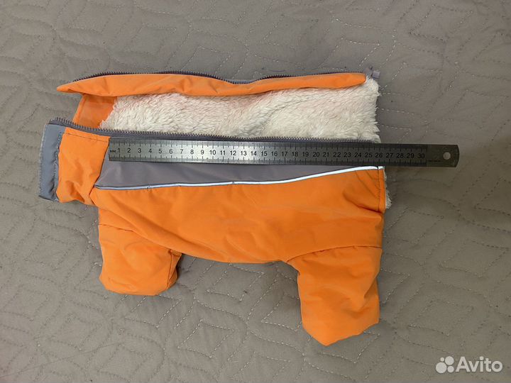 Одежда, обувь и не только для маленьких собак