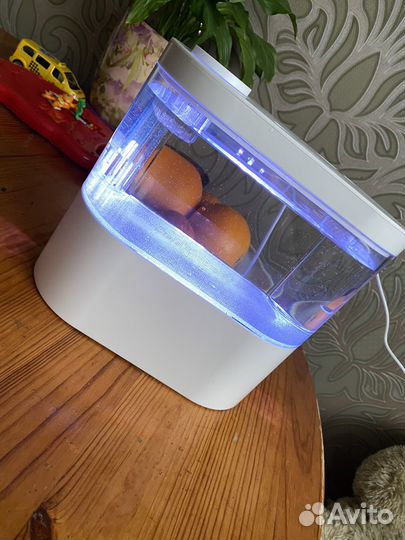 Аквариум маленький