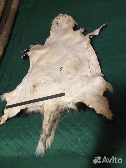 Шкура - коврик