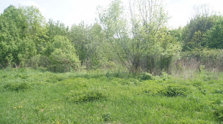 Участок 78 сот. (ИЖС)