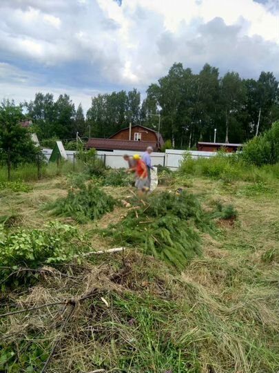 Участок 6 сот. (СНТ, ДНП)
