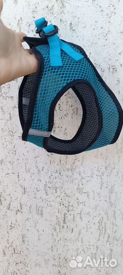 Ошейник и шлейка