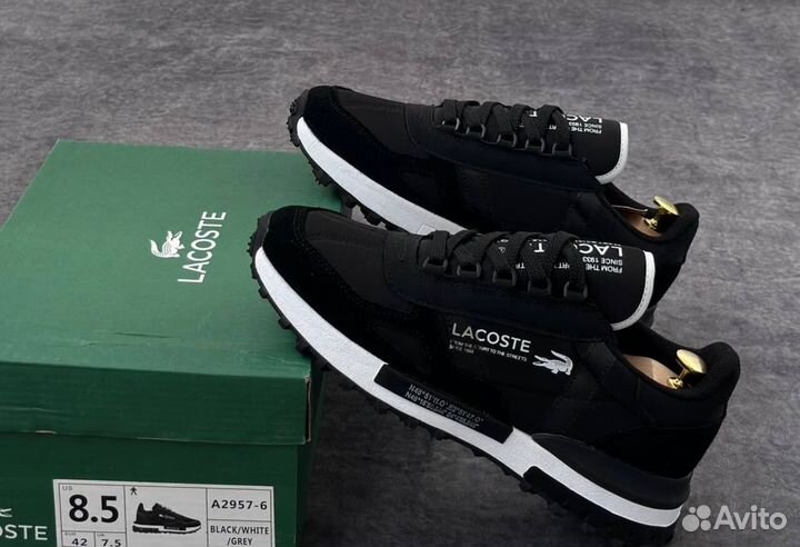 Кроссовки lacoste мужские