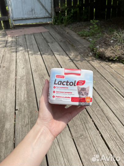 Заменитель кошачьего молока для котят