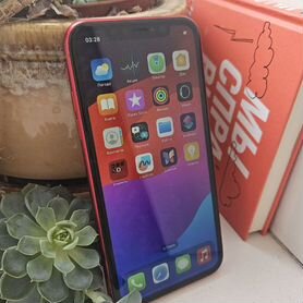 iPhone Xr, 128 ГБ