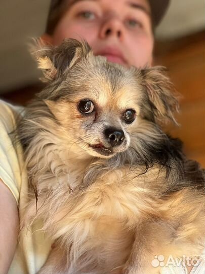 Кроху выбросили на улицу