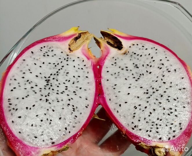 Питахайя (Драгон фрут)