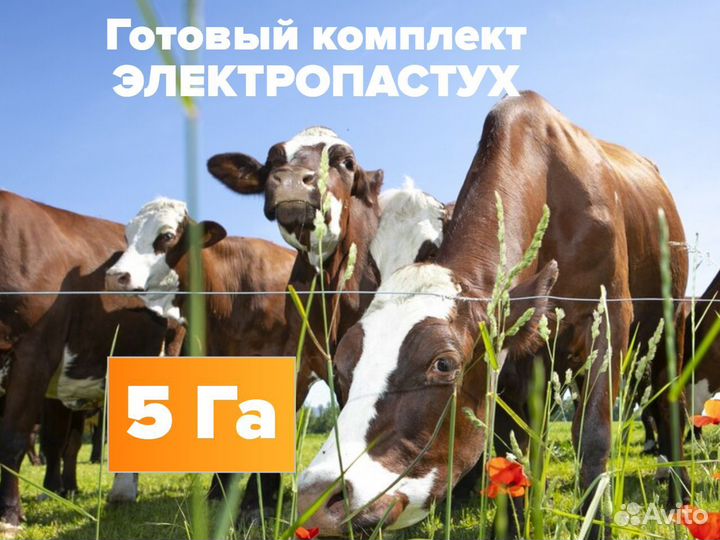 Комплект электропастух 5 Га