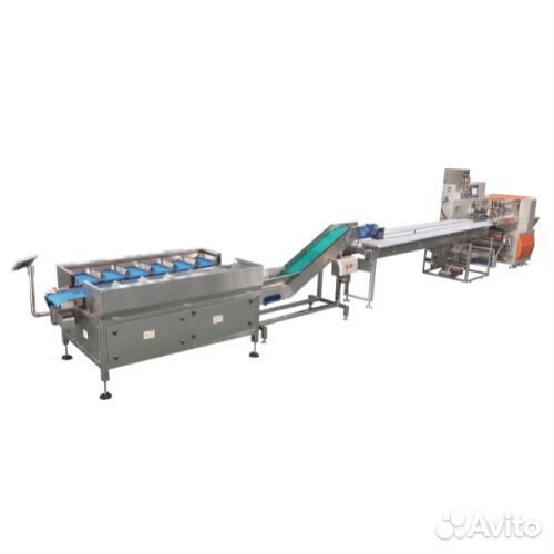 Линия Vega Horizontal Fruit Vegetable Weighting Packing Line