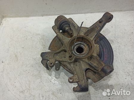 Кулак задний левый