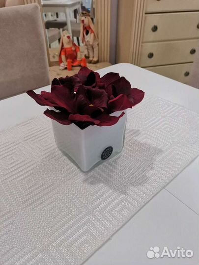 Лилия белый куб