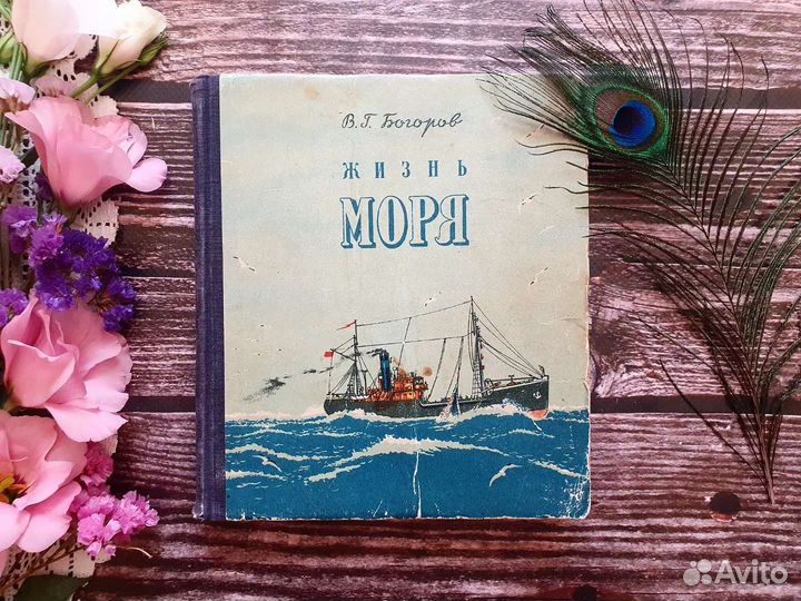 Богоров. Жизнь моря 1950 г