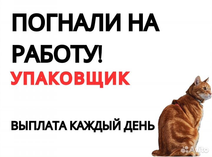 Упаковщик подработка Ежедневная оплата оз0408