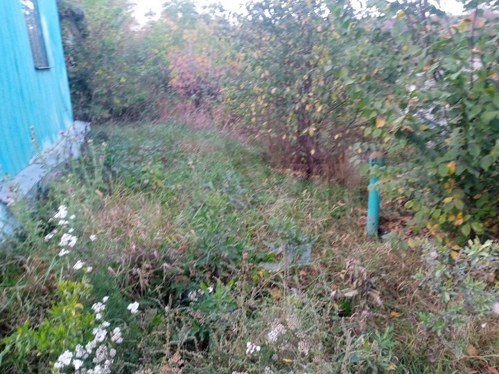 Дом 50 м² на участке 20 сот.