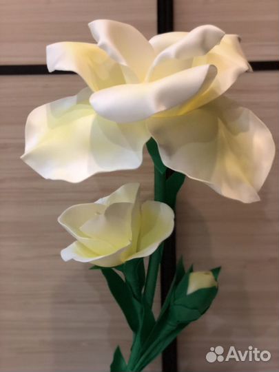 Прикроватные ночники, торшеры, ростовые цветы